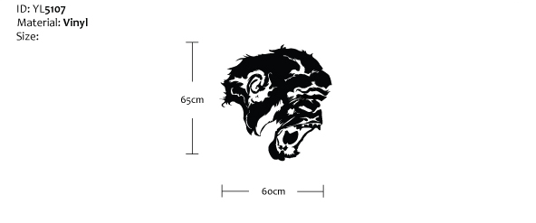 yl5107-r4-c2.jpg